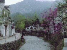 龙堤凤街