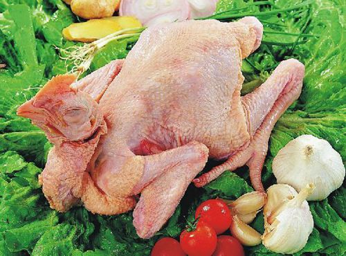 花钱补脑？吃这些天然食物可以变聪明哟！
